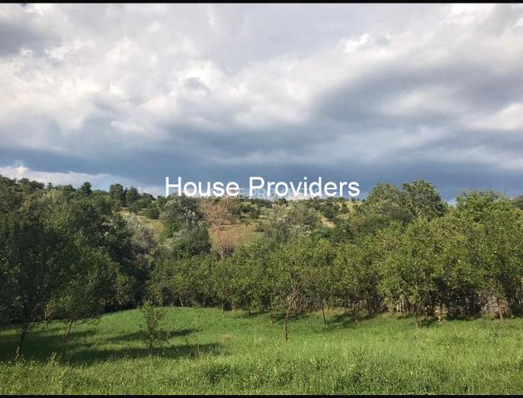 Vanzare Terenur Drajna  Prahova - 8