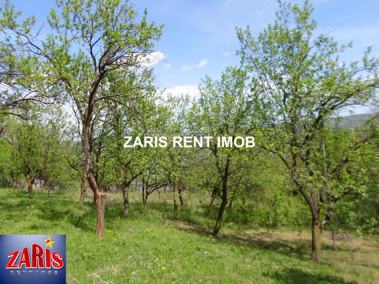 Vanzare 3658 mp teren intravilan in Predeal-Sarari, Prahova - 8