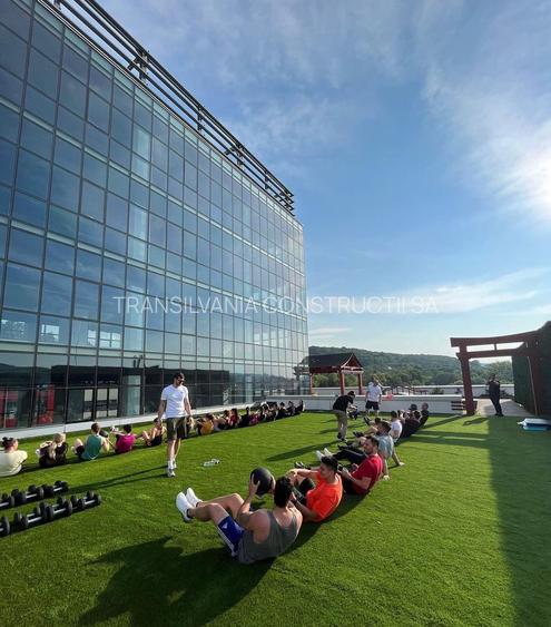 Închiriere Spațiu Birou Clasă A în Clădire Premium - 12