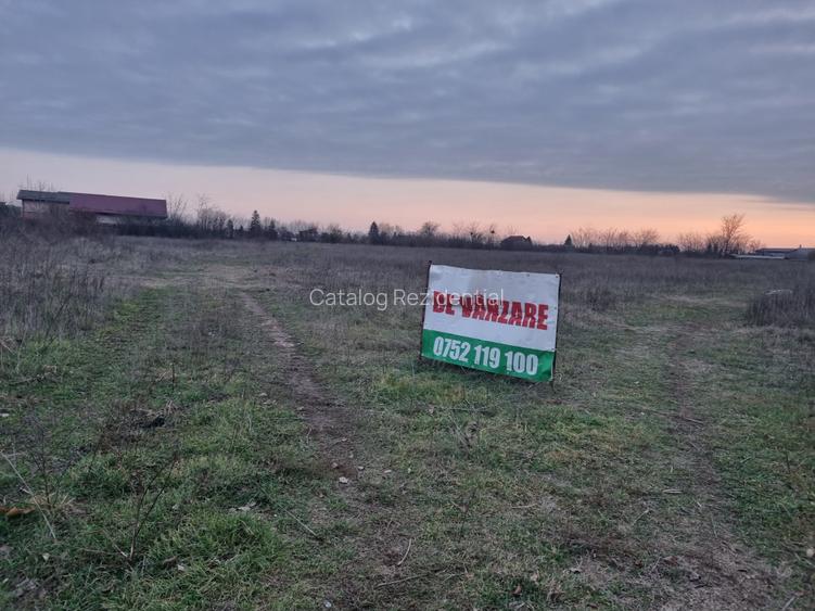 Teren de vanzare in Loc Domnesti - Tudor Vladimirescu - 3