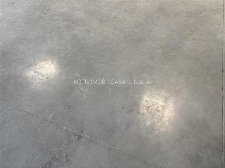 Hale industriale de vanzare – Oradea, adiacent Parcului Industrial I - 17