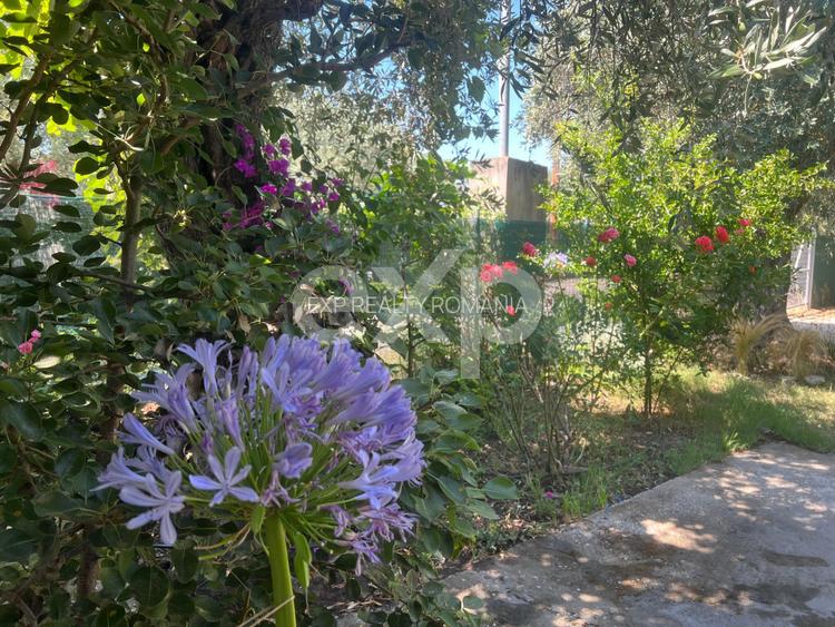 Randament 9.5% Afacere la cheie / Casa de vacanta Thasos Grecia la 50m de plaja - 12