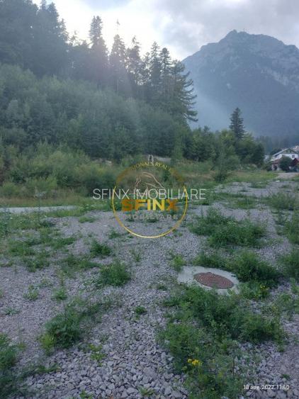 Teren intravilan 15.000 mp Busteni - 5