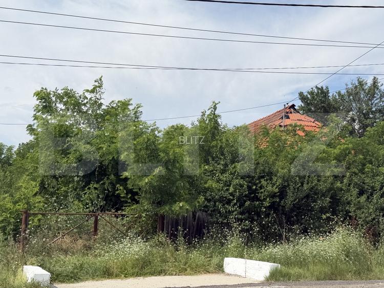 Teren 5000 mp , zona Dragoieni - 3