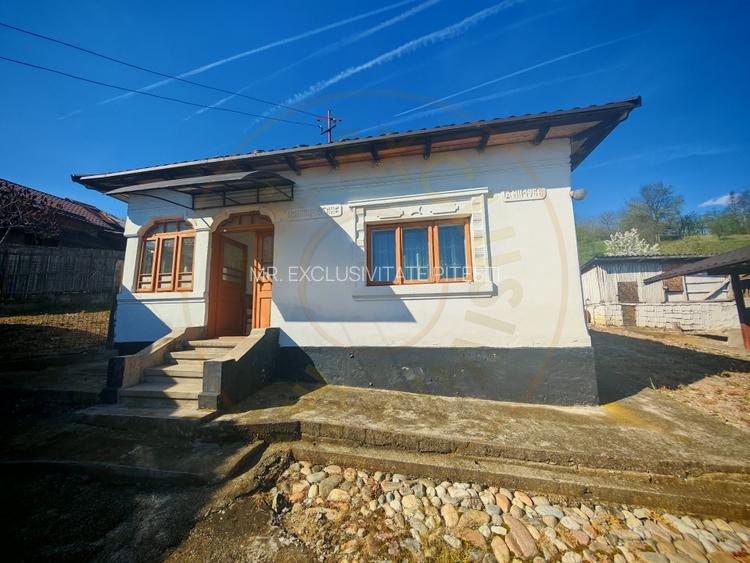 Proprietate compusă din 2 case,3 anexe,teren 3.233 m – Dârmănești, județul Argeș - 4