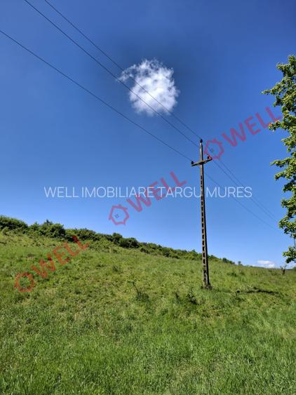 De vânzare teren intravilan de 30 000 m² (3 ha) în Reghin - 13
