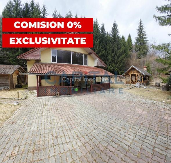 Cabana la munte Rucar / Satic - 3