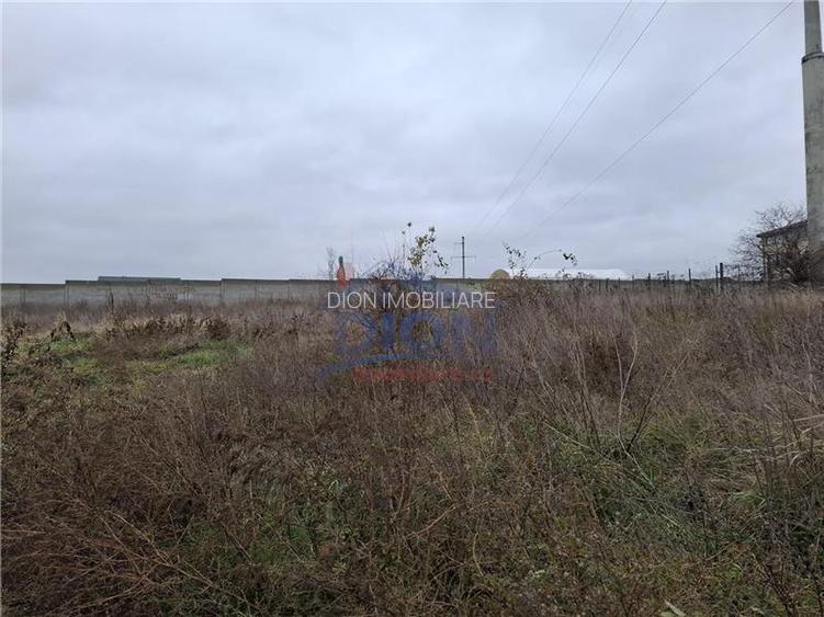 Teren  intravilan langa padure - 2