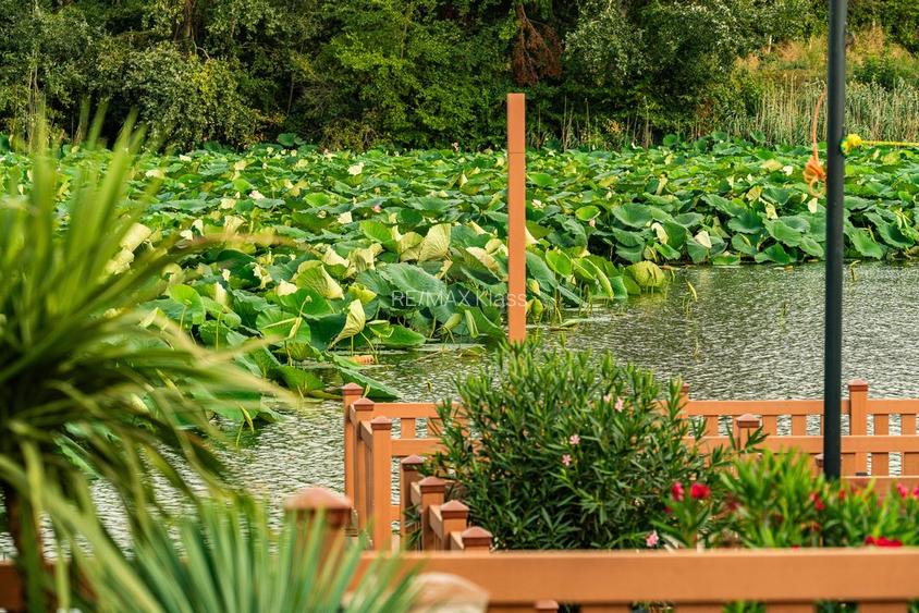 Vila cu 4,5,6  camere de vanzare in Marina Snagov - 29