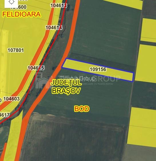 Teren de 8700 mp - extravilan - Bod, Brasov - 8