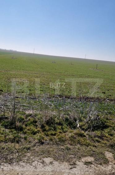 Teren intravilan cu o suprafata 1500 mp in zona Metro - 3