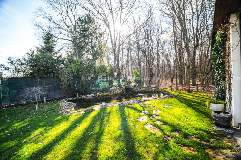 VILA 6 CAMERE MOBILATA SI UTILATA - PISCINA - CORBEANCA - COMISION 0% - 19