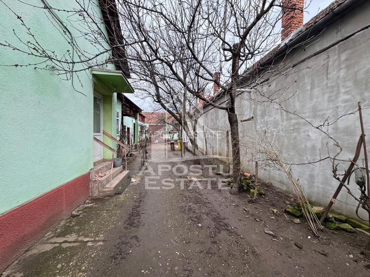 Casa - zona Aradul Nou - 4