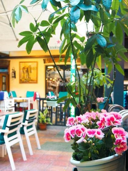 DE VÂNZARE IMOBIL ( RESTAURANT CAJOU)  ZONA 0 - 10