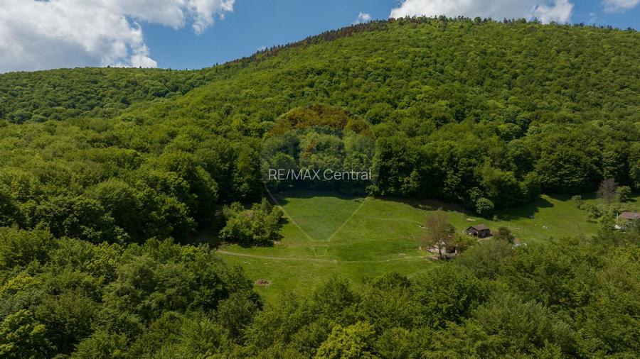 Teren de vanzare - Colonia 1 Mai, 5.310 mp, ideal pentru investitie - 3