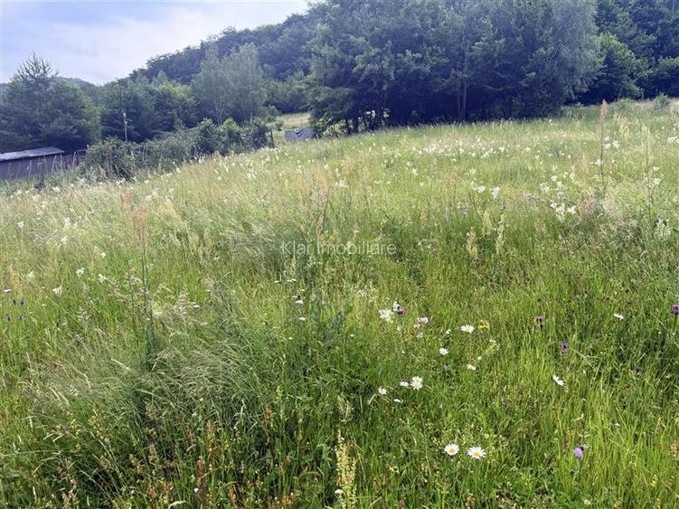 Comision 0%teren Somesu Rece zona Cabana Bradet - 8