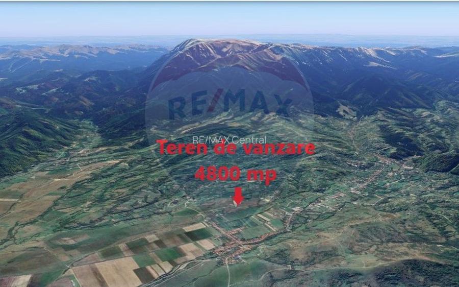 Teren Tohanu Nou, intrare Sohodol, 4800mp - 17