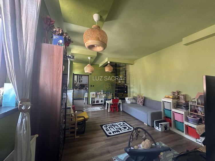 Vanzare - Proprietate cu Potential-Locuinta si Business - 28