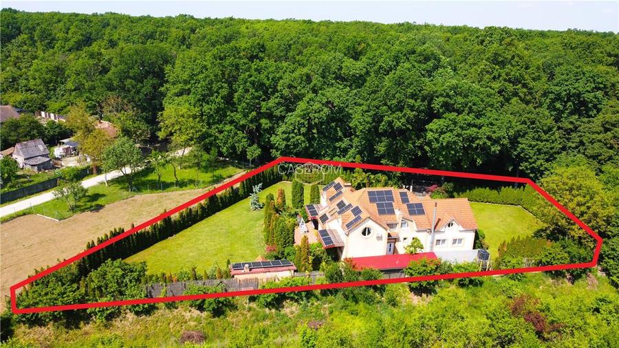 VIDEO | Vila, domeniu privat la Padurea Noroieni | Curte, foisor, jacuzzi - 3