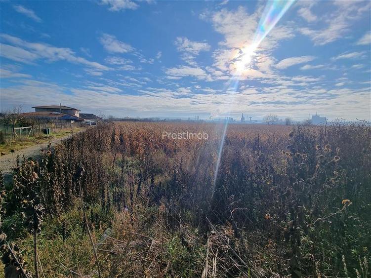 De vanzare parcele de 5 arii, utilitatile la poartă strada graului, Nazna - 5