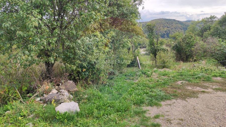 Teren intravilan constructii 3082 mp Damis Bratca drum DJ 764D - 17