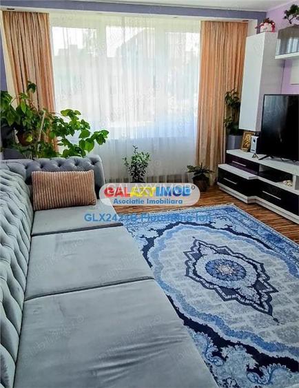 9080 Apartament 2 camere Drumul Taberei- Raul Doamnei - 2