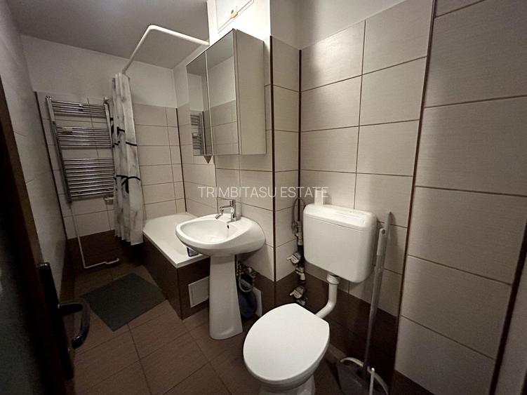 Garsoniera Nicolae Grigorescu- Basarabia 8 minute de metrou - 5