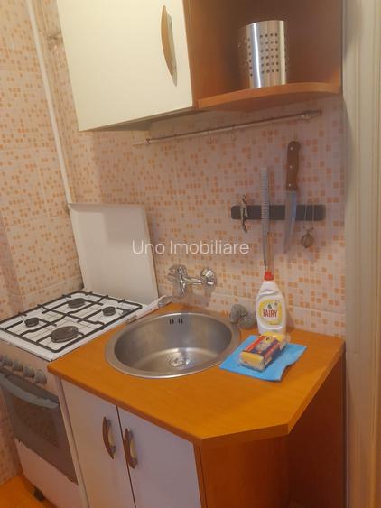 DOROBANTI ,IANCU DE HUNEDOARA GARSONIERA  PET FRIENDLY INCHIRIERE - 15