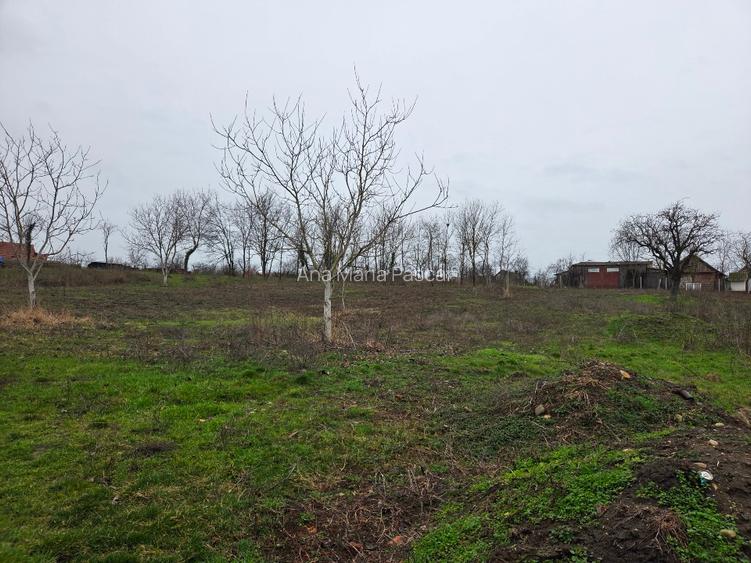 Casa cu teren spatios  - 8