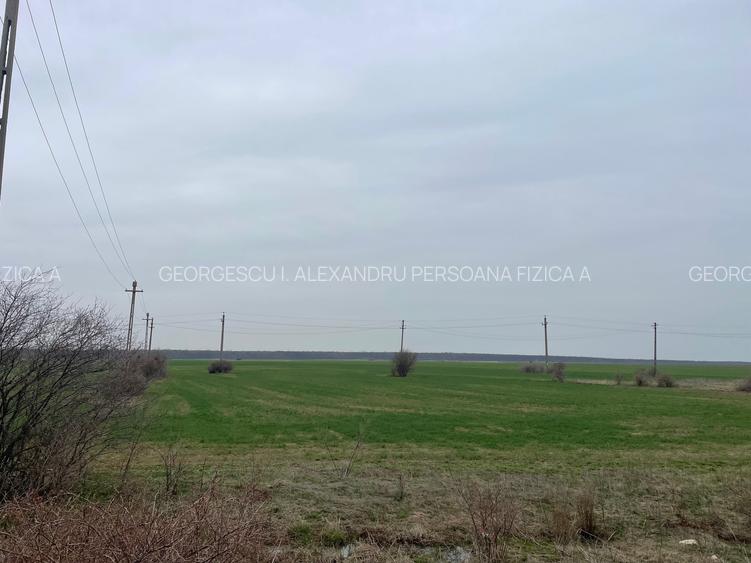 Giurgiu-Marsa Teren Agricol 8.5 Ha - 3