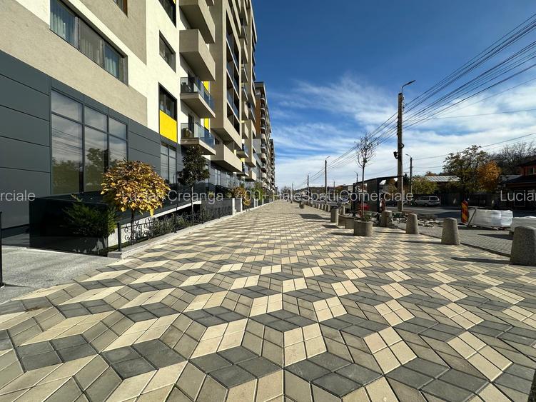 Spatiu comercial intabulat de vanzare, 420mp, Pasaj Bucium - 13