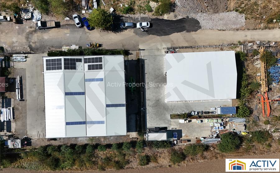 Hala Conti Impex Magurele - 3