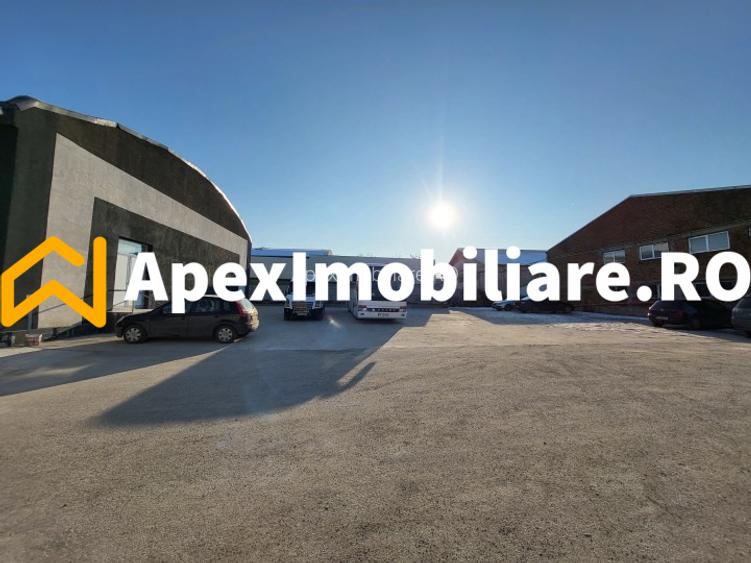 Hala Industriala Xenia – 1800 mp, Acces TIR, Parcare 50 Auto - 6