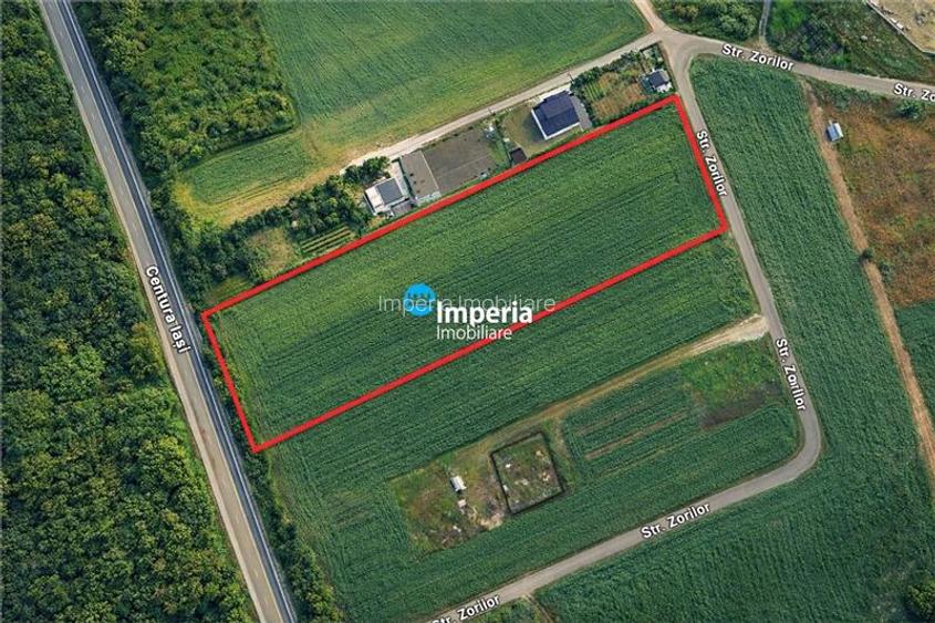 Teren pentru dezvoltare, Padurea Uricani - 2