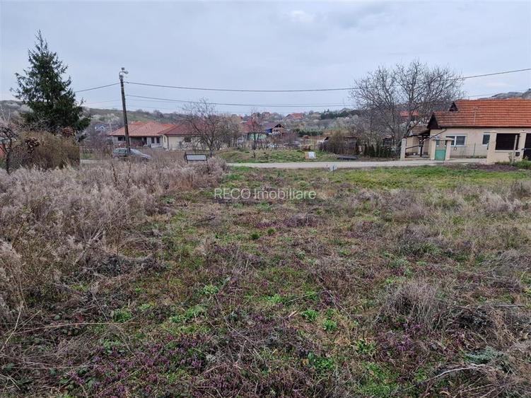 Teren intravilan in Oncea, str. Prunilor - 4