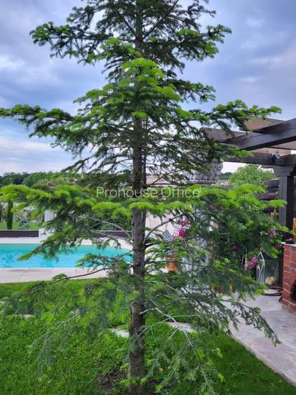 Reședință de colecție pe malul lacului/ Arhitectură neoromânească 2051 mp, teren - 4