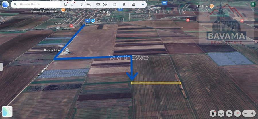 Teren extravilan de vânzare - 10 000 mp -Sud Harman - 4