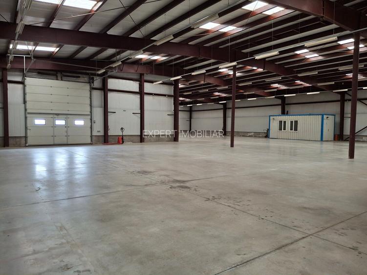 Hala productie /depozitare spatii cazare Branesti/Makita - 13