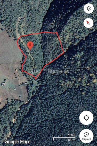 Vindem teren forestier 44165 mp Doabra - Bucovina - 2