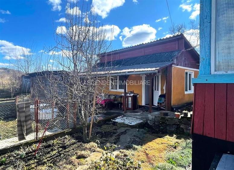 Tur 3D! Casa traditionala+ domeniu de 4.300 mp,livada,anexe:refugiu apreciabil C - 18