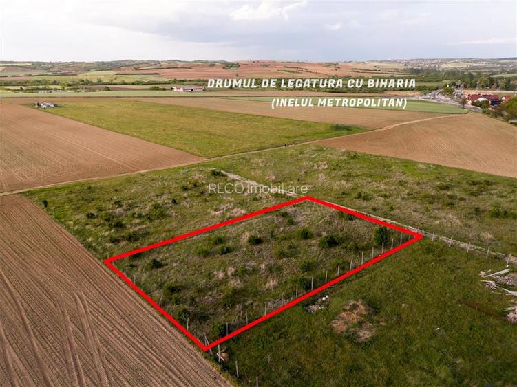 RECO Teren de vanzare Paleu 1025mp - 7