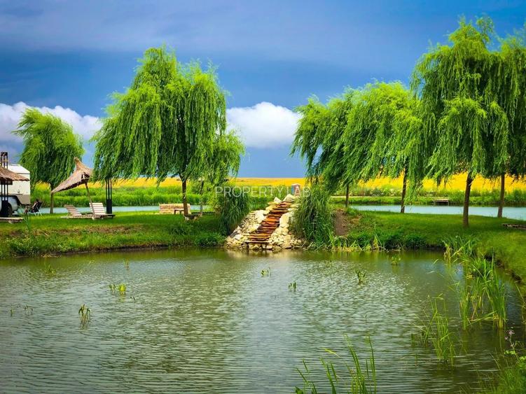 Pescărie cu restaurant de inchiriat - 3