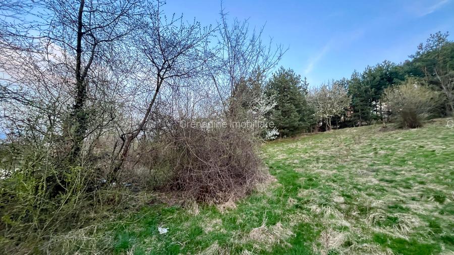 Teren Intravilan 495 mp – Zonă Liniștită - Strada Livezii - 2