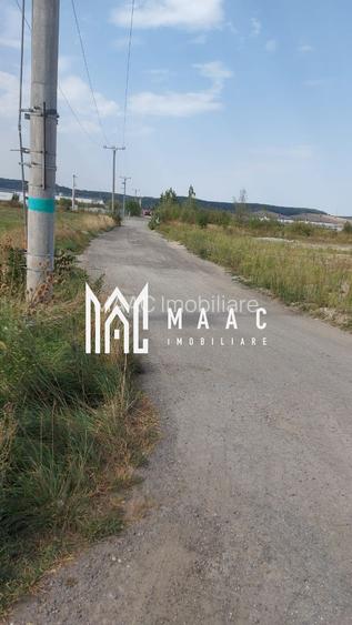 Teren | 10,000 MP | Extravilan | Posibilitate de parcelare | Cristian - 3