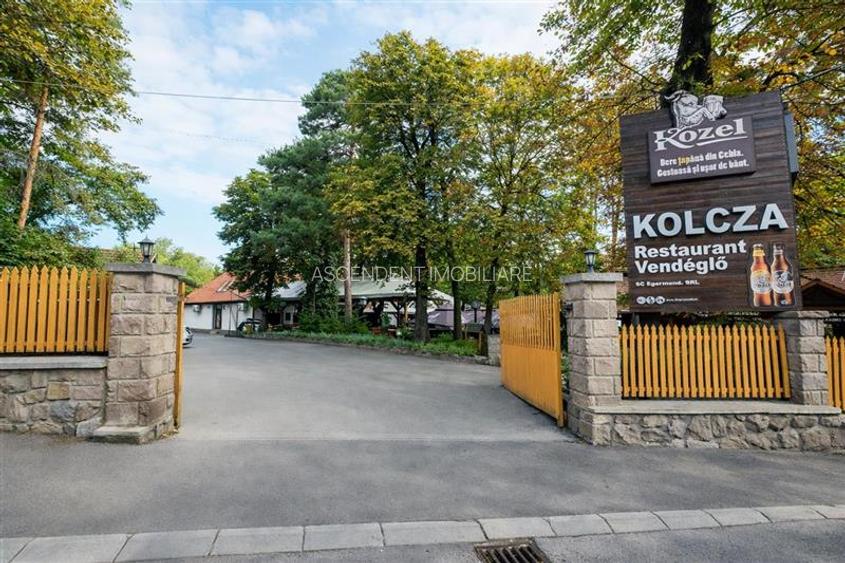 Complex Gastronomic:Afacere la cheie, Restaurant traditional secuiesc+teresa eve - 9