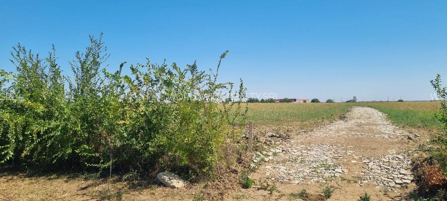 Teren intravilan Balotesti, Complex Good Afternoong - 2