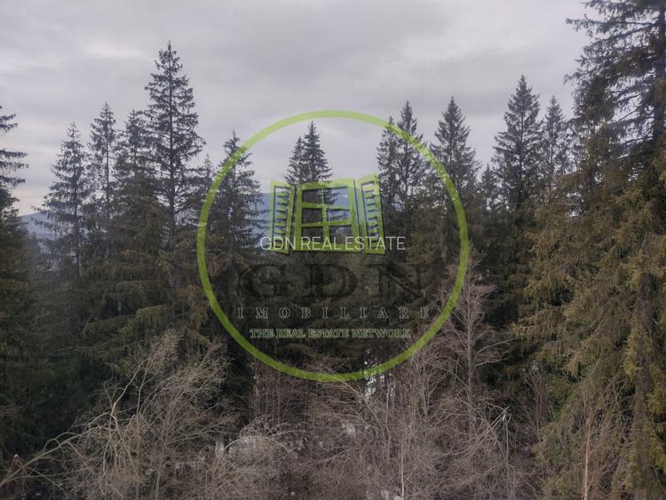 Apartament 2 camere Predeal | decomandat | zonă exclusivistă | vedere pădure - 12