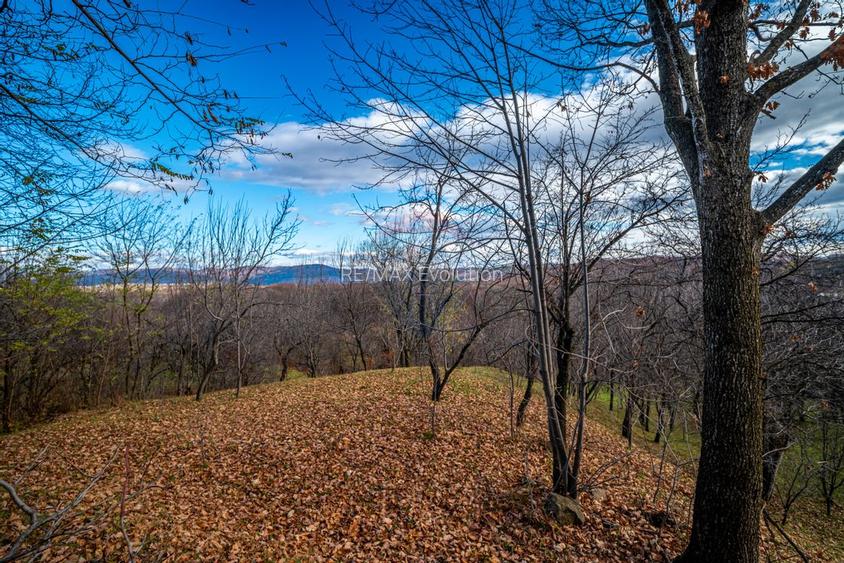 Teren intravilan 4384 mp – Comuna Talea,  județul Prahova - 3