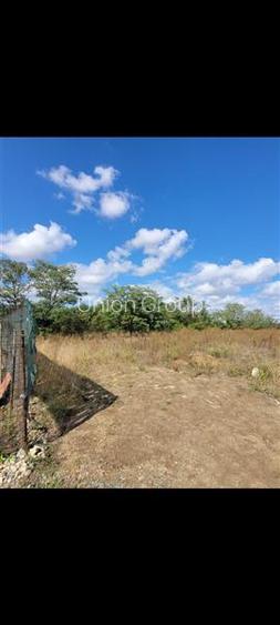 Viitorul Tau Incepe Aici - Teren de 505 mp Soseaua Constantei spre Cumpana - 4