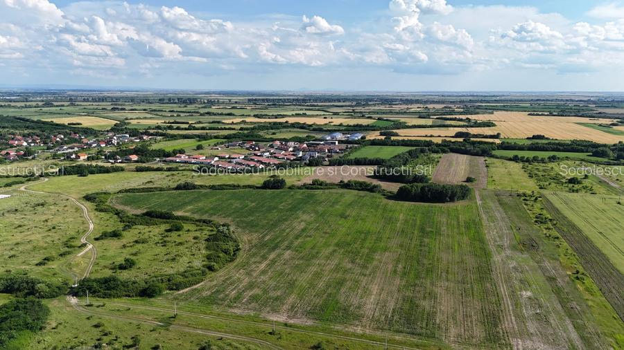 TEREN ZONA MOSNITA NOUA- ALBINA - 7